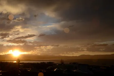 DSC_3311 (Large).JPG